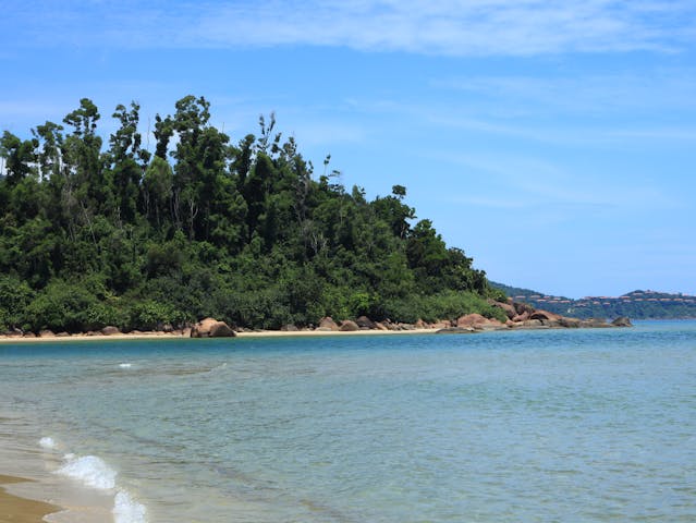 forêt tropicale